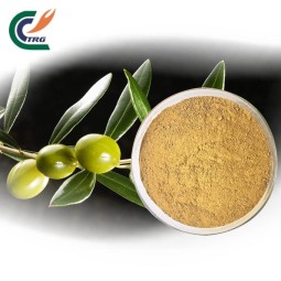 Rhodiola Extract Supplier - 1% Salidroside Rose