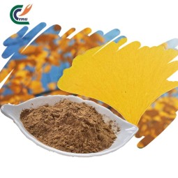 Ginkgo Biloba Extract Factory - Leaf Antioxidant