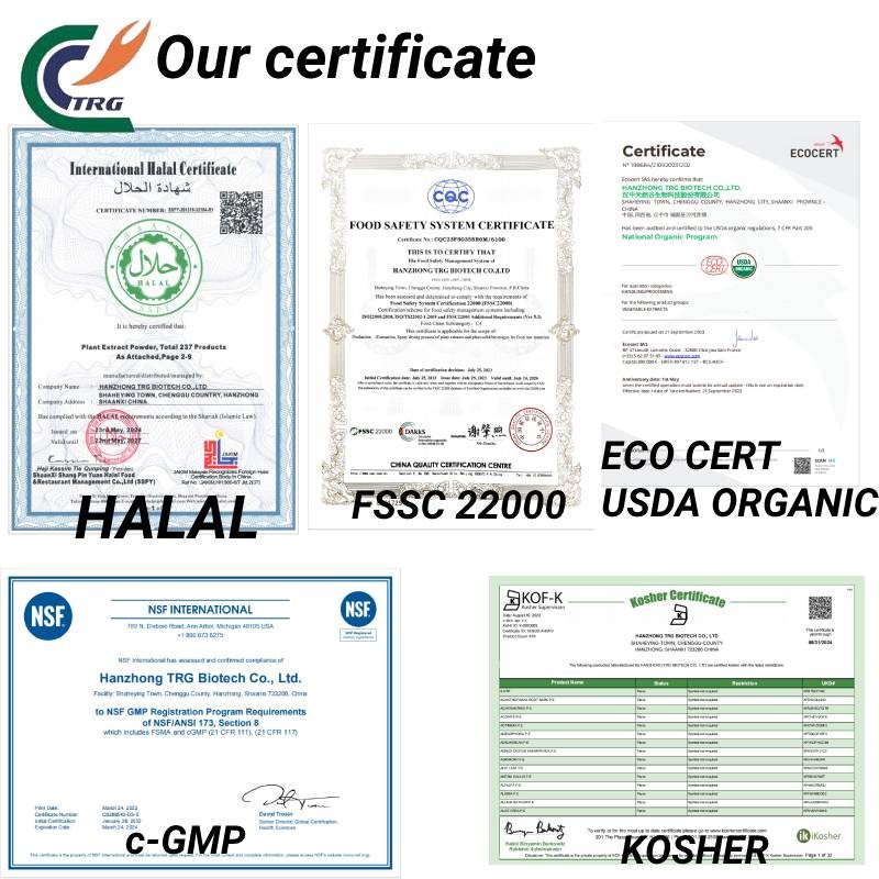 Curcumin Extract Manufacturer - Herbal Longa L.