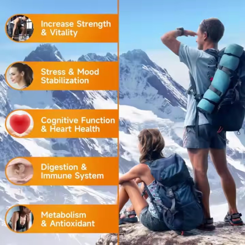 Shilajit Gummies Manufacturer - Himalayan Energy Support