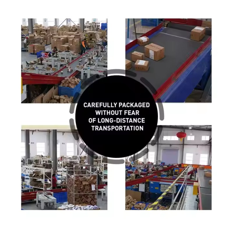 Probiotic Capsules Manufacturer - Herbal Compound Intestinal