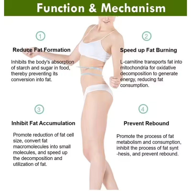 Fat Burning Capsules Factory - Herbal Extract 1 Pill