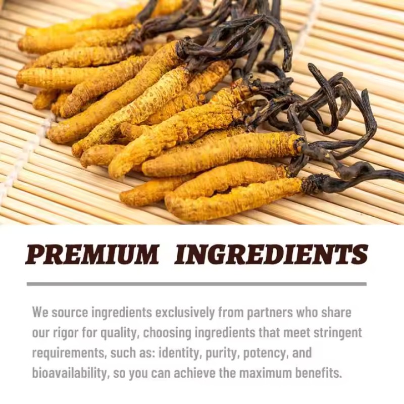 Chinese Herbs Manufacturer - Medicinal Energy Men Care