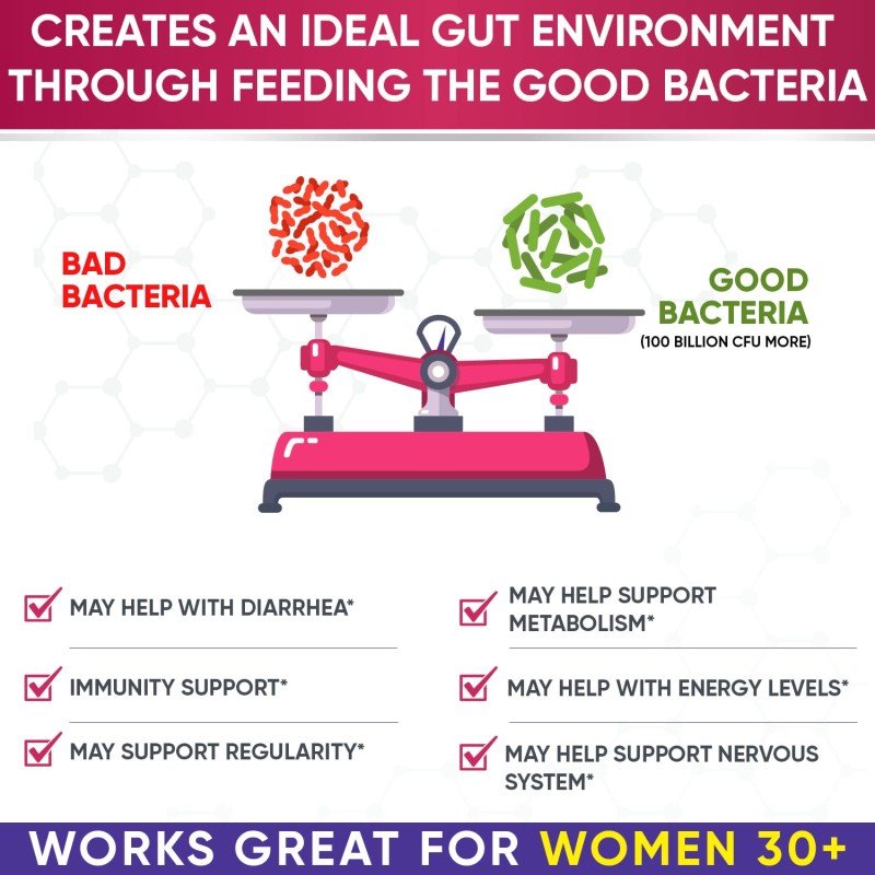 Probiotics Supplement Factory - Nutrient Absorption Gut