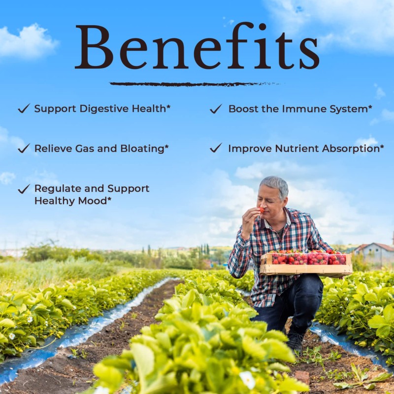 Probiotics Capsules Manufacturer - Prebiotics Digestive Enzymes