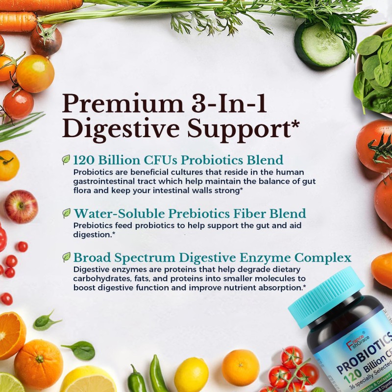 Probiotics Capsules Manufacturer - Prebiotics Digestive Enzymes