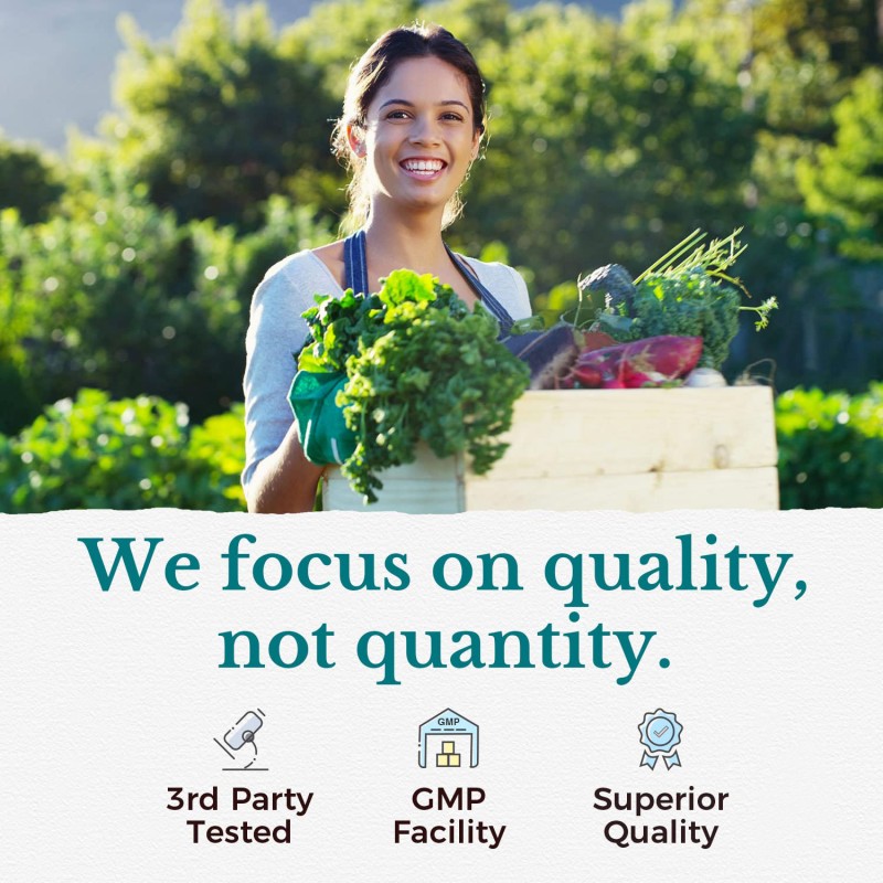 Probiotics Capsules Manufacturer - Prebiotics Digestive Enzymes