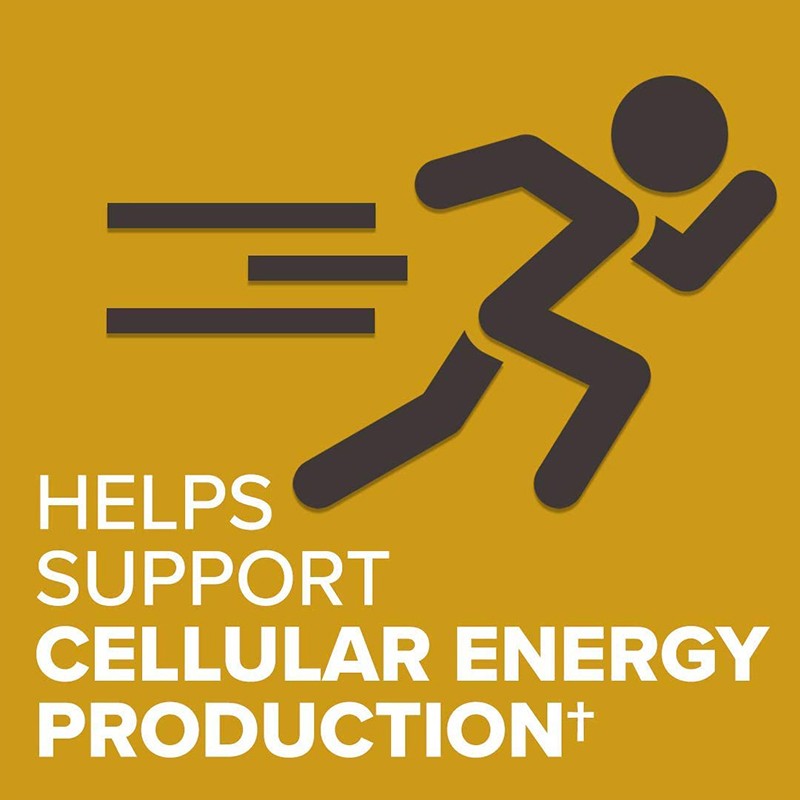 CoQ10 Supplement Factory - Organic Heart Vascular Health