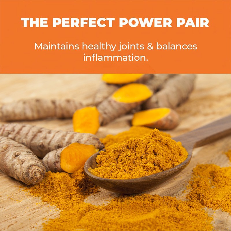 Turmeric Capsules Factory - Apple Cider Vinegar Bioperine