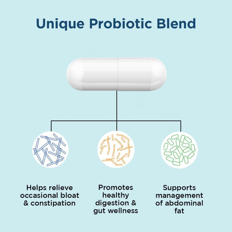 Prebiotics Supplement Manufacturer - Weight Joint Gut