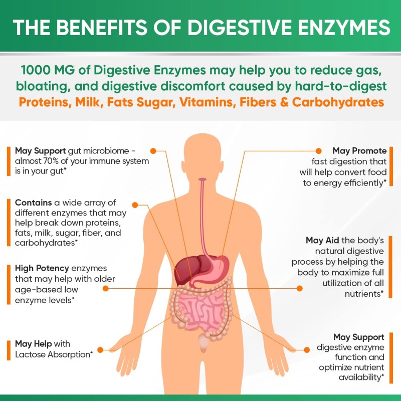Digestive Enzymes Supplier - Plant Based Vegan 180ct