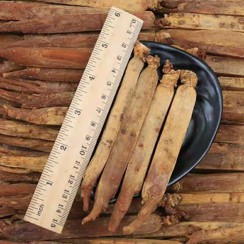 Walnut Kernels Supplier - Food Snack OEM