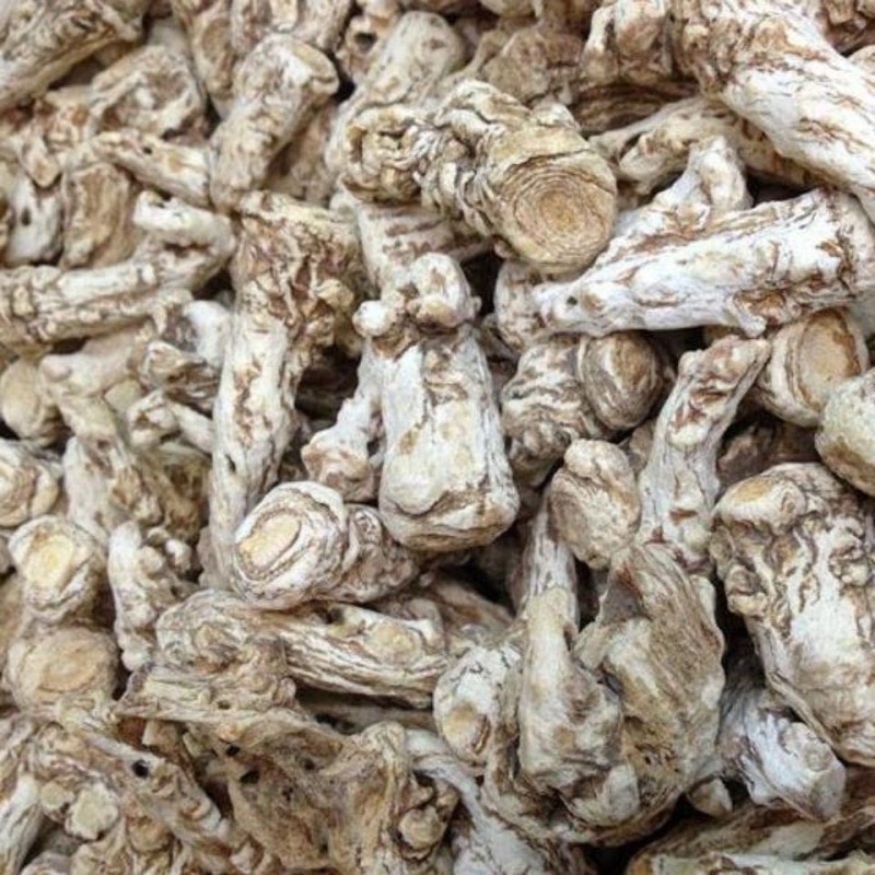 Angelica Root Slice Manufacturer - Sulfur-Free Custom