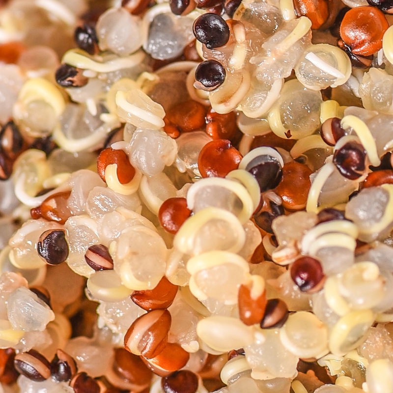 Quinoa Rice Manufacturer - Bulk Wholesale Custom