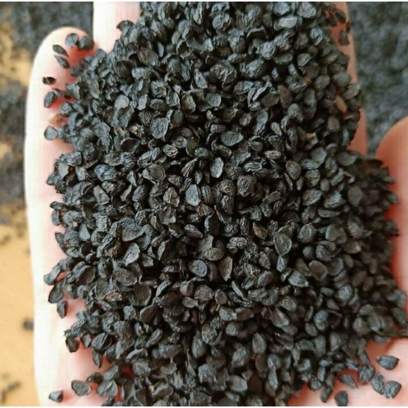 Darjeeling Tea Manufacturer - Blended Bagged OEM