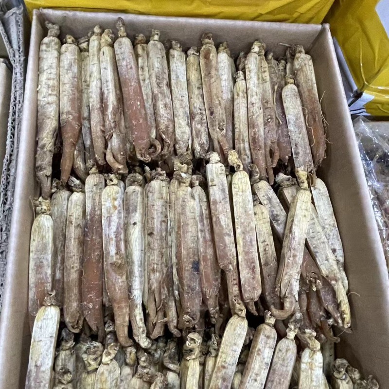 Korean Red Ginseng Supplier - Root Custom