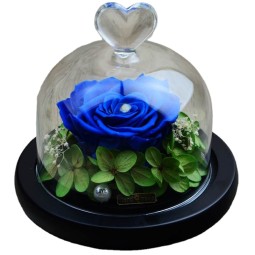 Lavender Dried Flowers Factory - Wholesale Bulk