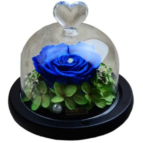 Lavender Dried Flowers Factory - Wholesale Bulk