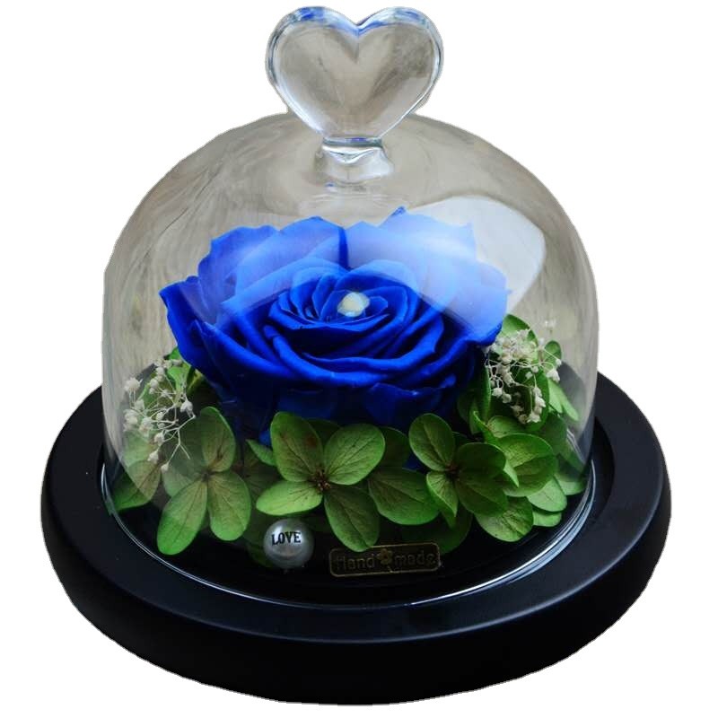 Lavender Dried Flowers Factory - Wholesale Bulk