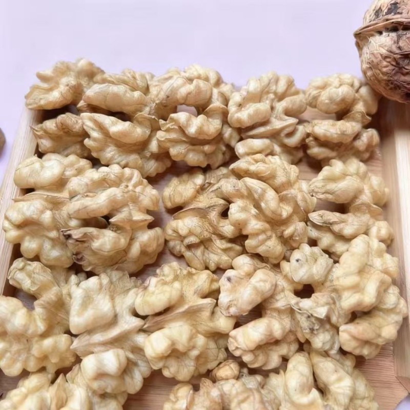 Agaricus Blazei Manufacturer - Mushroom Custom