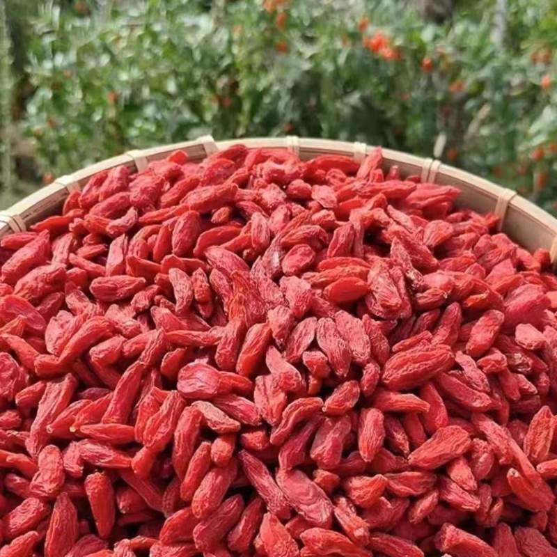 Astragalus Powder Manufacturer - Bulk Grinding