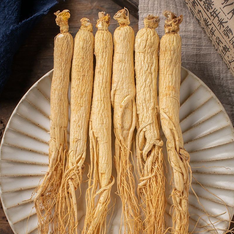 Ginseng Patch Factory - Asian Root Free Sample