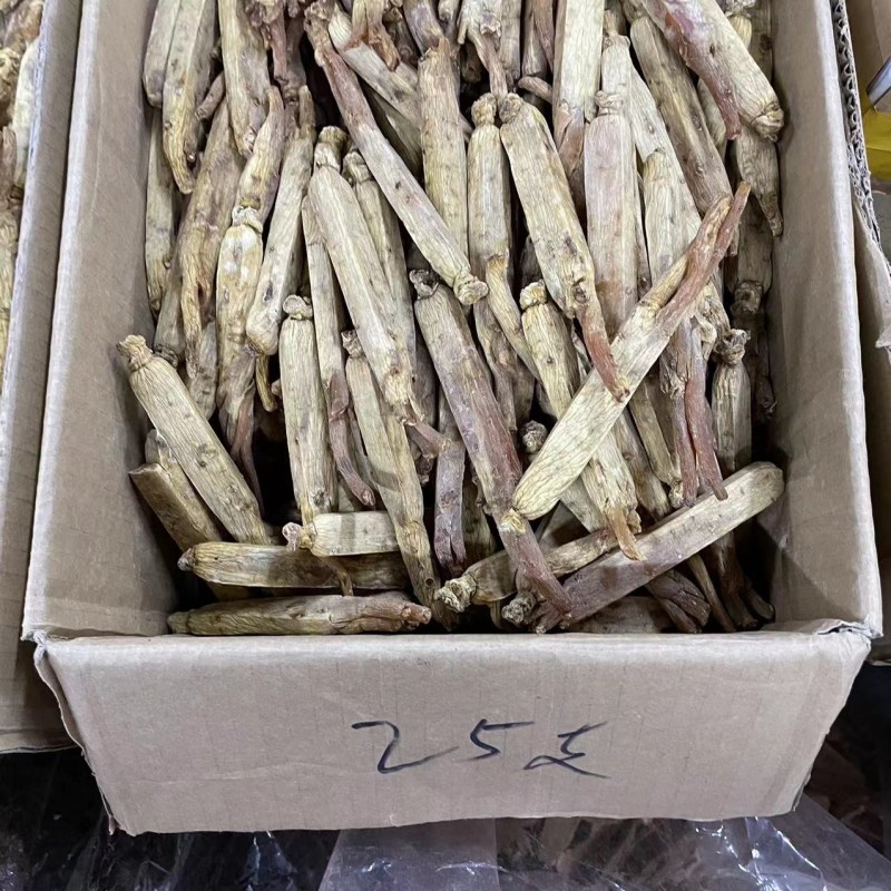 Korean Red Ginseng Supplier - Root Custom