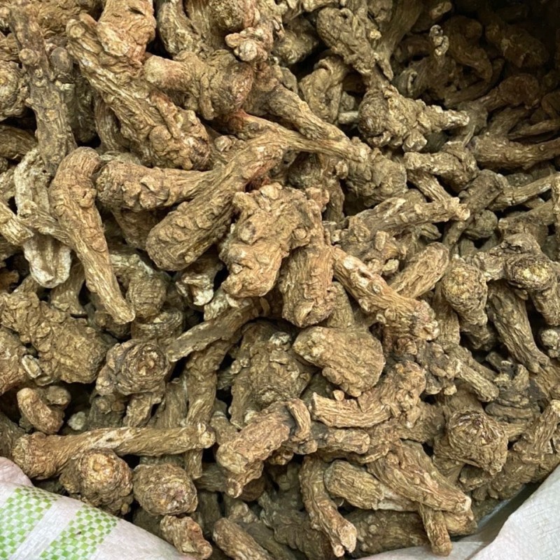 Angelica Root Slice Manufacturer - Sulfur-Free Custom