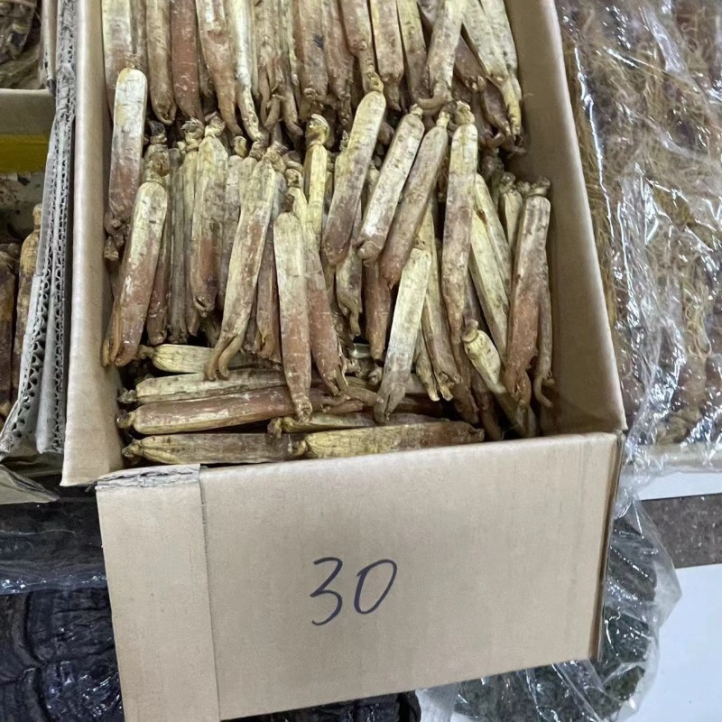 Korean Red Ginseng Supplier - Root Custom