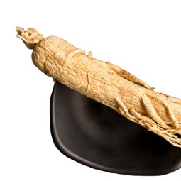 Red Ginseng Root Supplier - Whole Slice Custom
