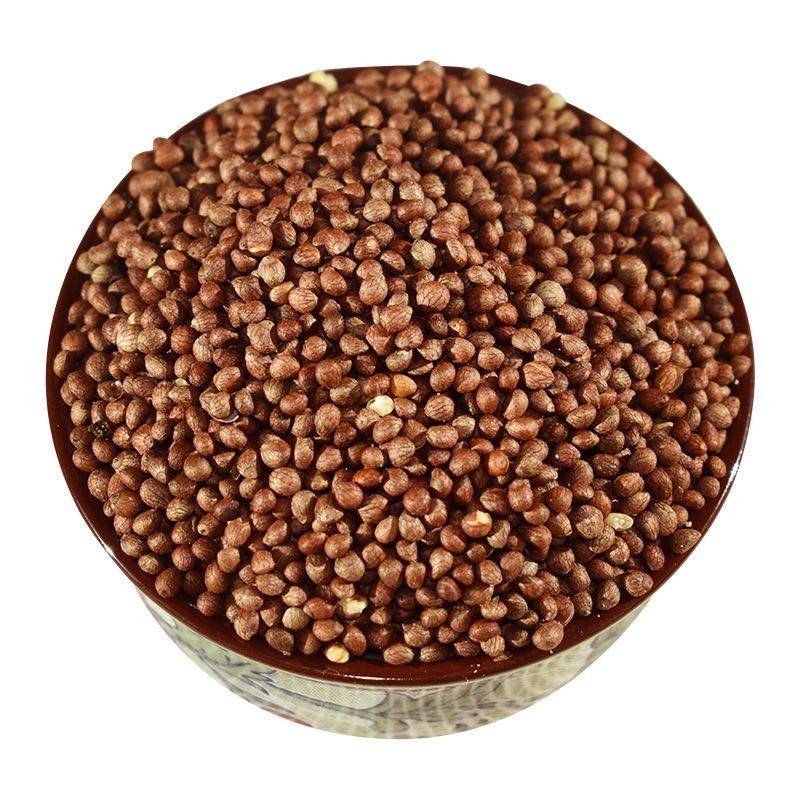 Pumpkin Powder Extract Factory - Halal Certified