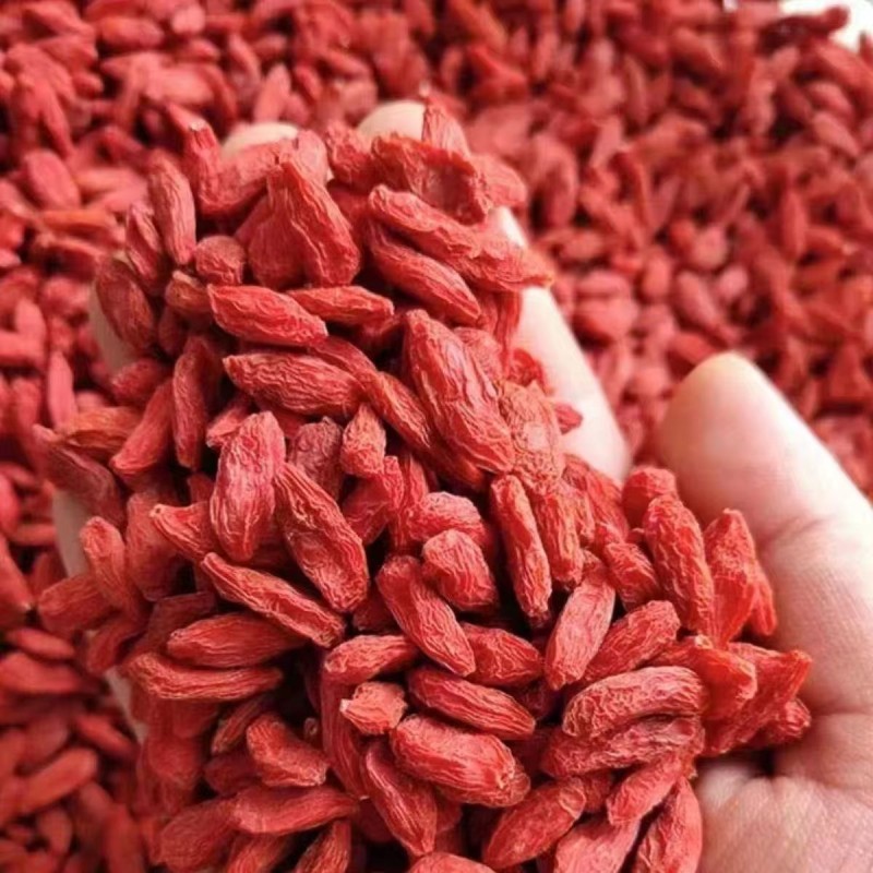 Astragalus Powder Manufacturer - Bulk Grinding