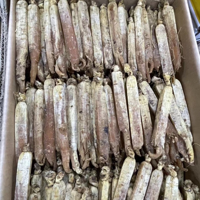 Korean Red Ginseng Supplier - Root Custom