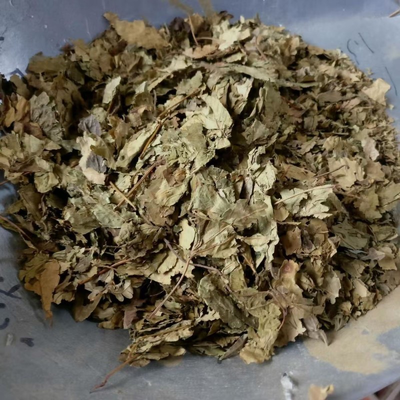 Dried Mint Supplier - Bulk Food Ingredient