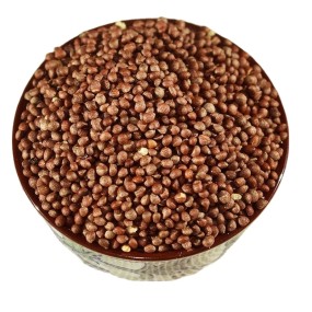 Pumpkin Powder Extract Factory - Halal Certified