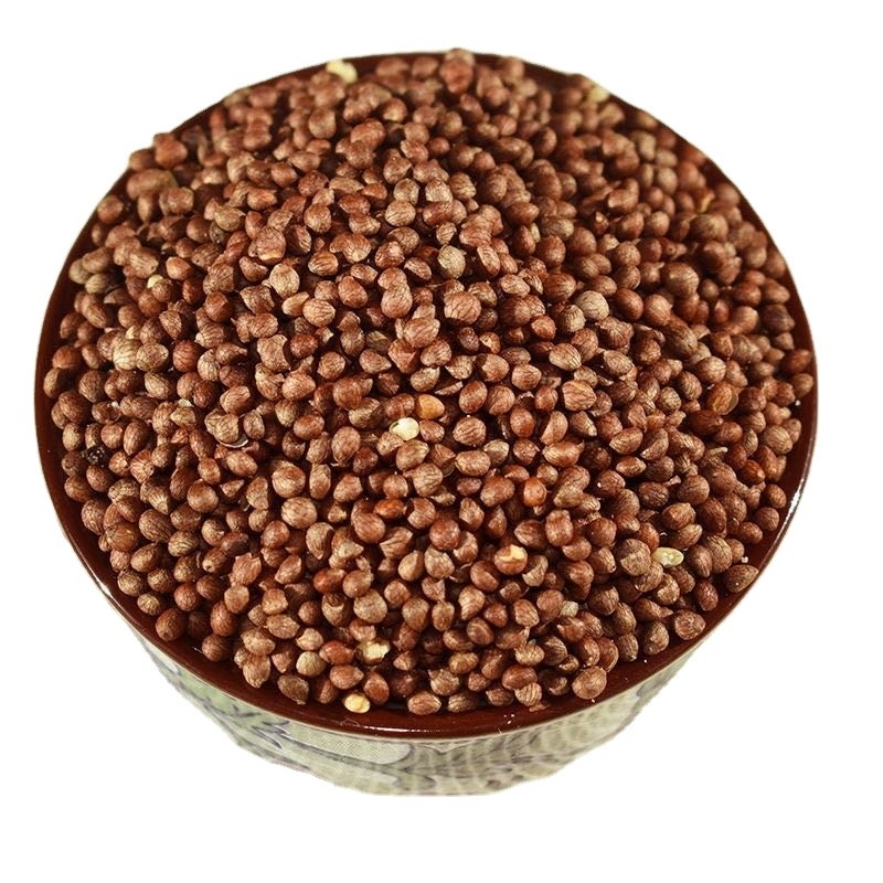 Pumpkin Powder Extract Factory - Halal Certified