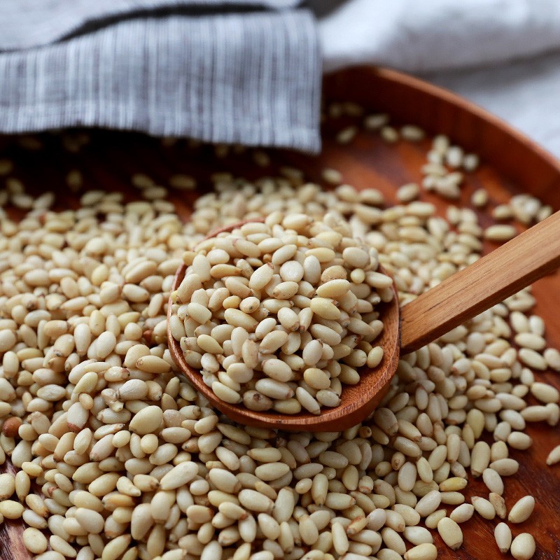 Pine Nut Kernels Factory - Price Competitive