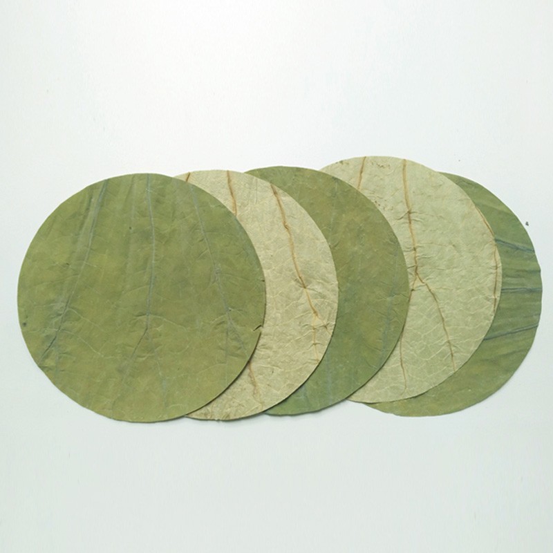 Ginseng Powder Supplier - Bulk Food Ingredient