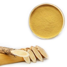 Natural Astragalus Powder Supplier - Bulk Export