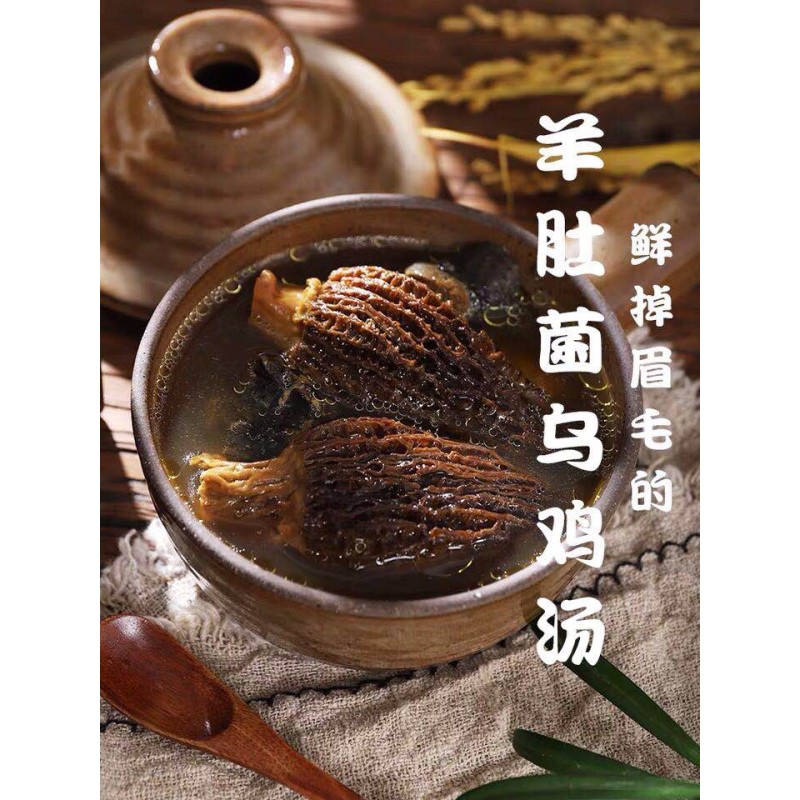 Morchella Mushroom Supplier - Wild Custom