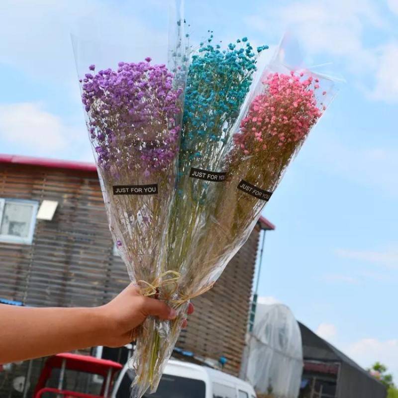 Dried Hibiscus Flowers Supplier - Nail Art Custom