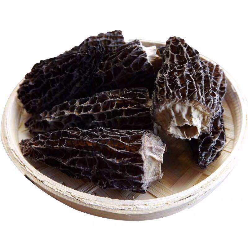 Wild Morel Mushroom Manufacturer - Dried Bulk