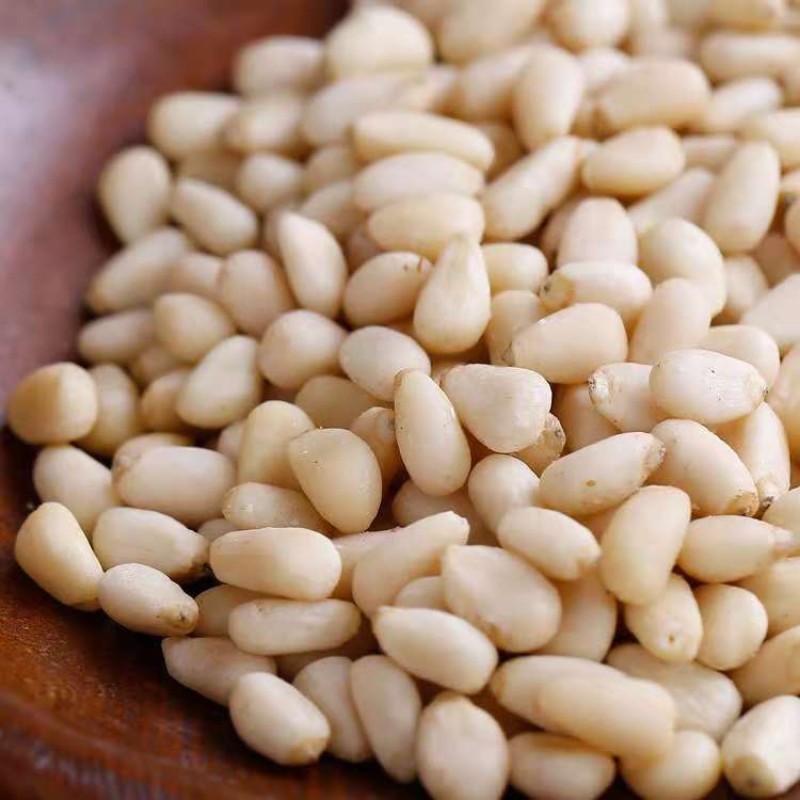 Dried Plum Powder Supplier - Preserved Fruit