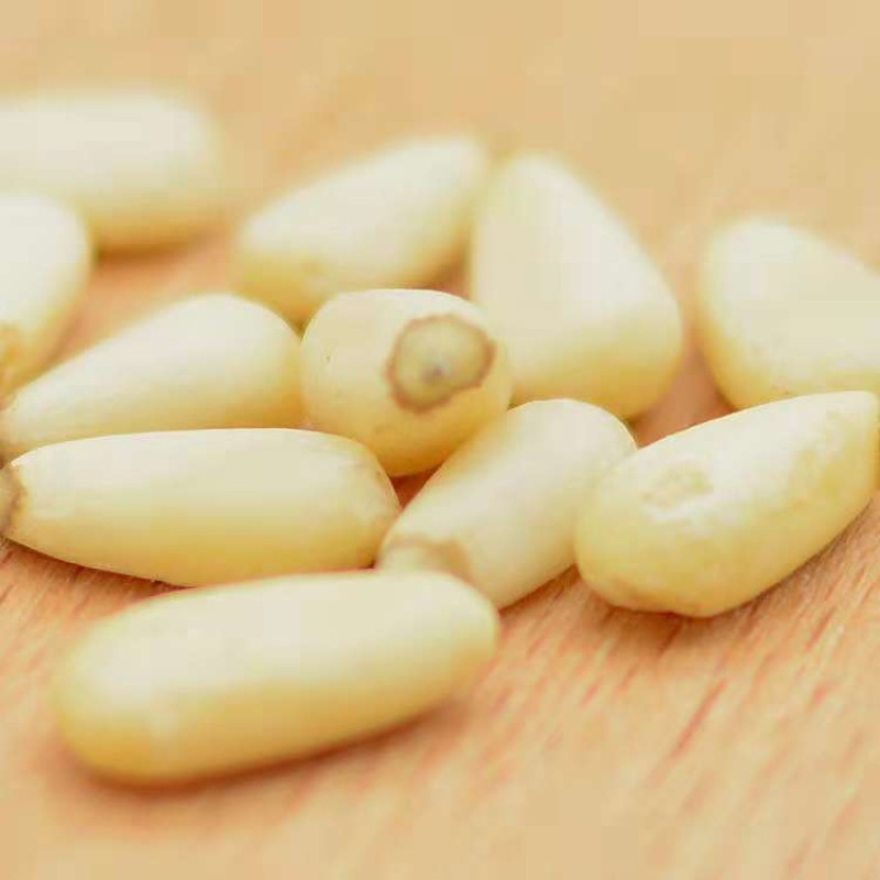 Green Plum Candy Factory - Sour Plum Honey