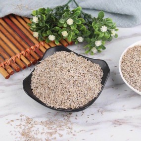 Iceberg Lettuce Seeds Manufacturer - Bulk Packaging