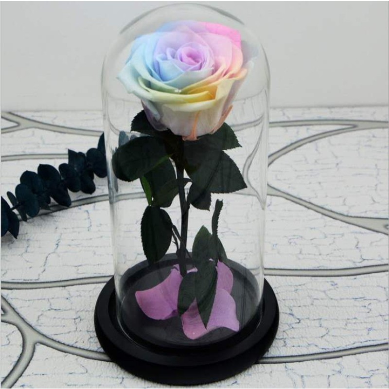 Dendrobium Powder Manufacturer - Granule Strip