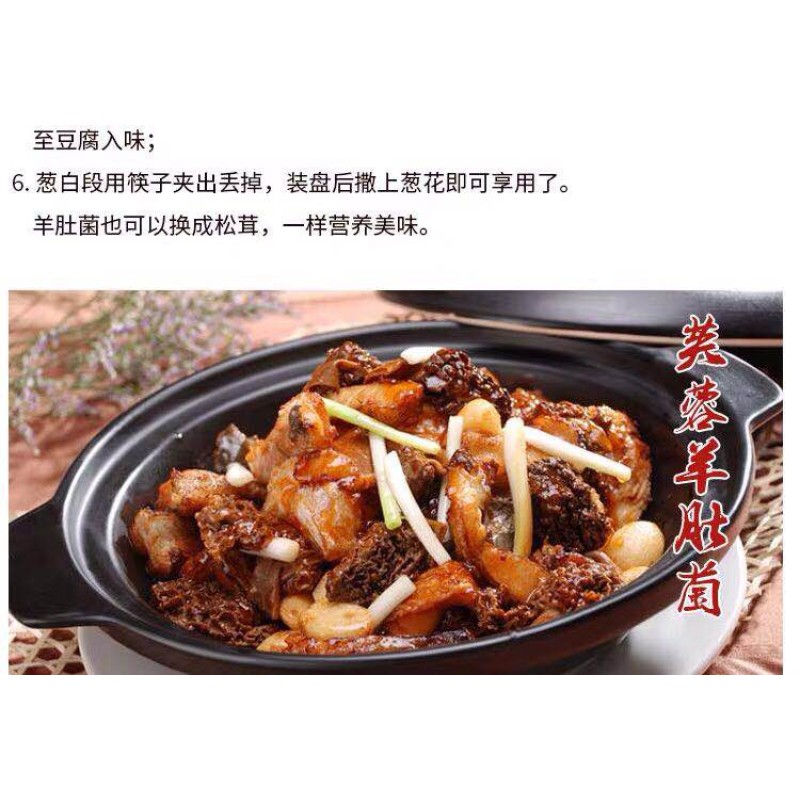 Morchella Mushroom Supplier - Wild Custom