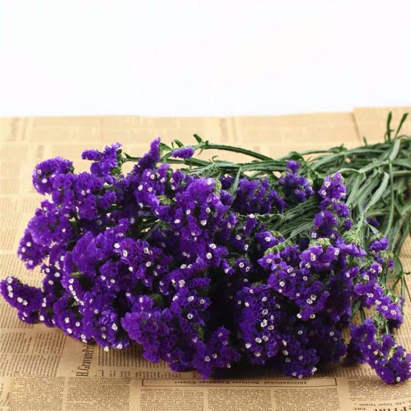 Dried Edible Flowers Supplier - Cheap Bulk