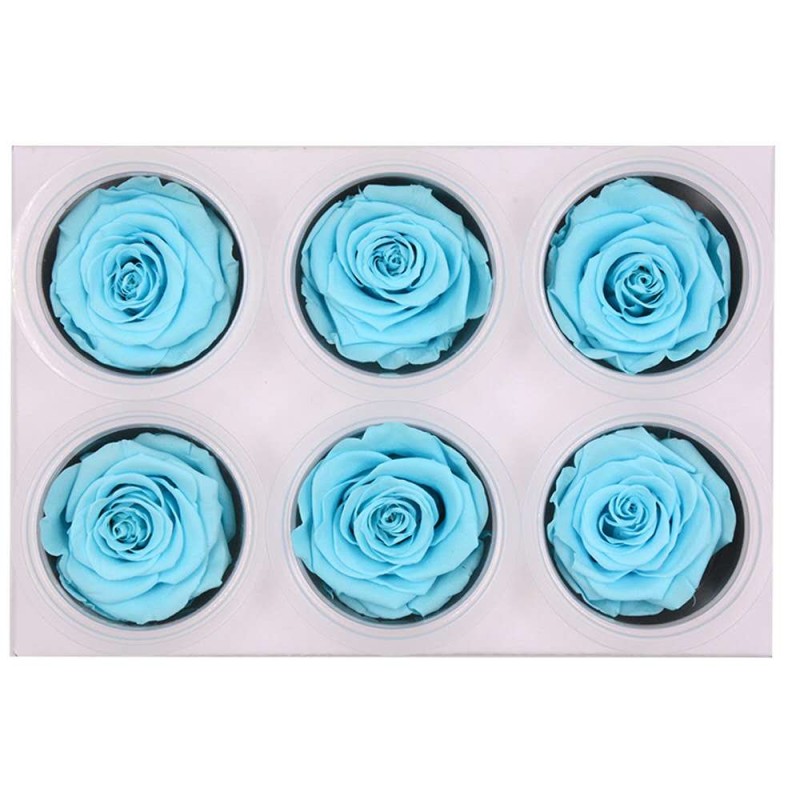 Dendrobium Powder Manufacturer - Granule Strip