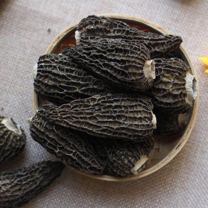 Morel Mushroom Farm Supplier - Wholesale Bulk